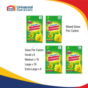 SW – 2pk Household Rubber Gloves – Assorted sizes