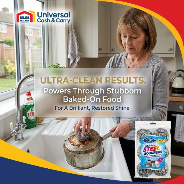 DL – 6pk Stainless-Steel Scourers 18gm - Image 3