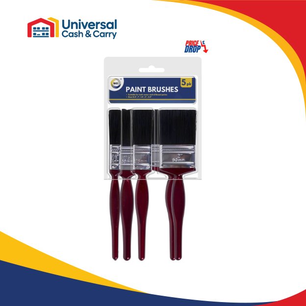 5pc Paint Brushes